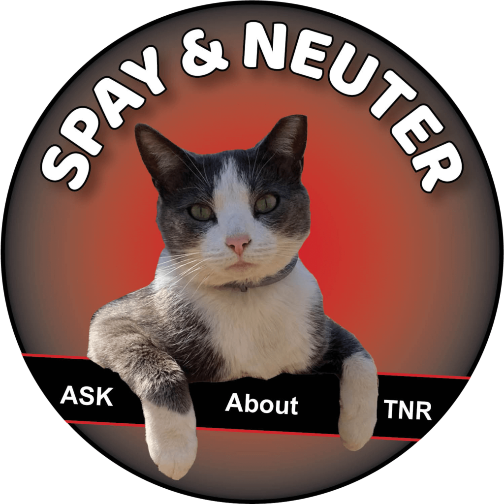 Stray Cat – Trap Neuter Return